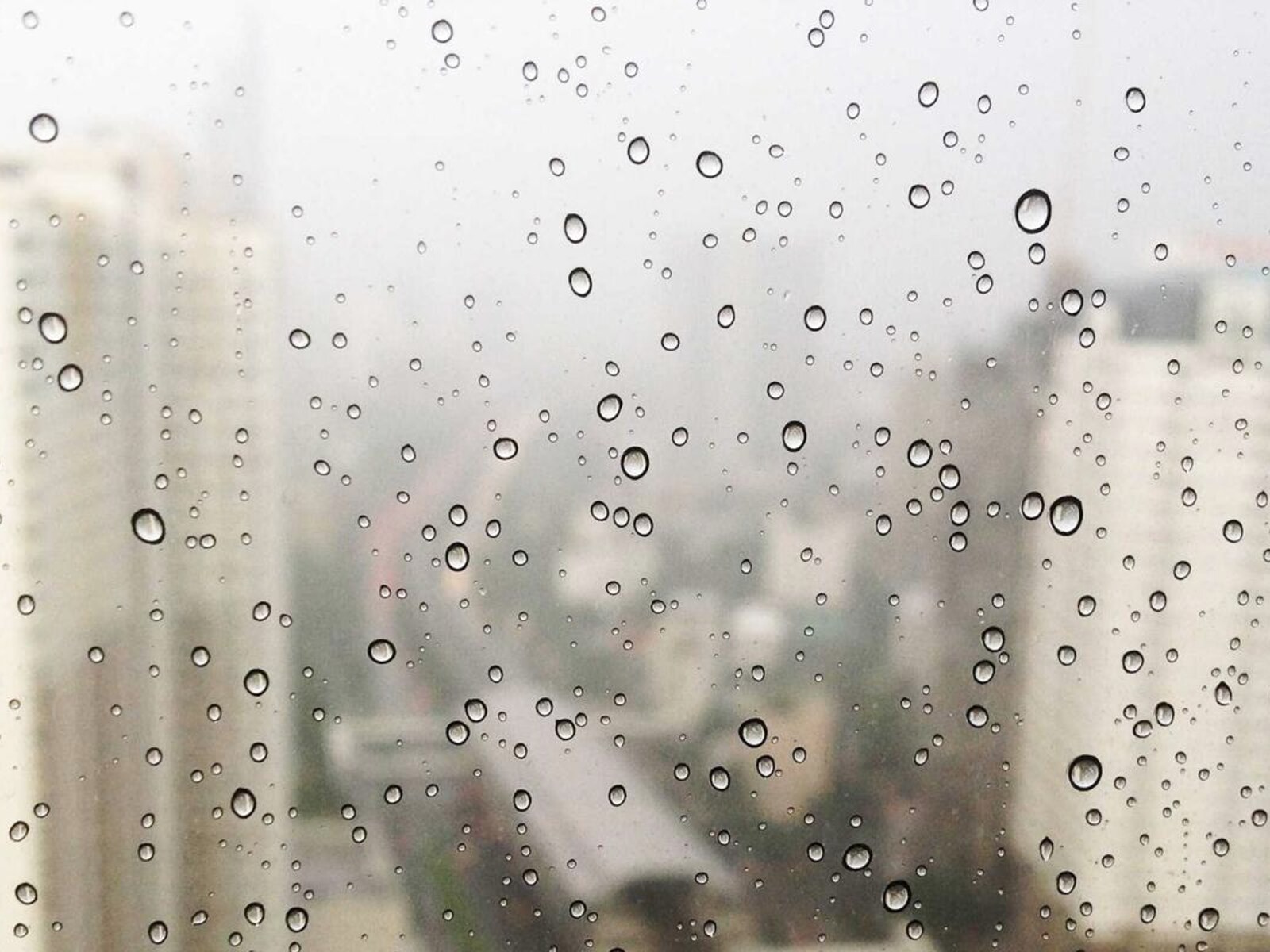 都心の中庭住居 image 3