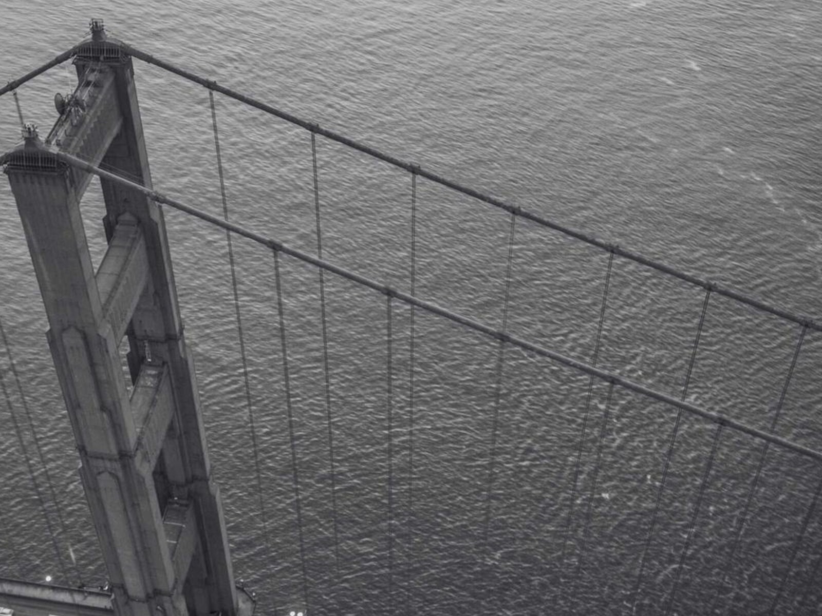 都心の中庭住居 image 4