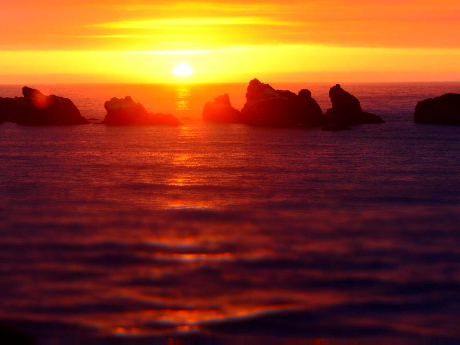 都心の中庭住居 image 6