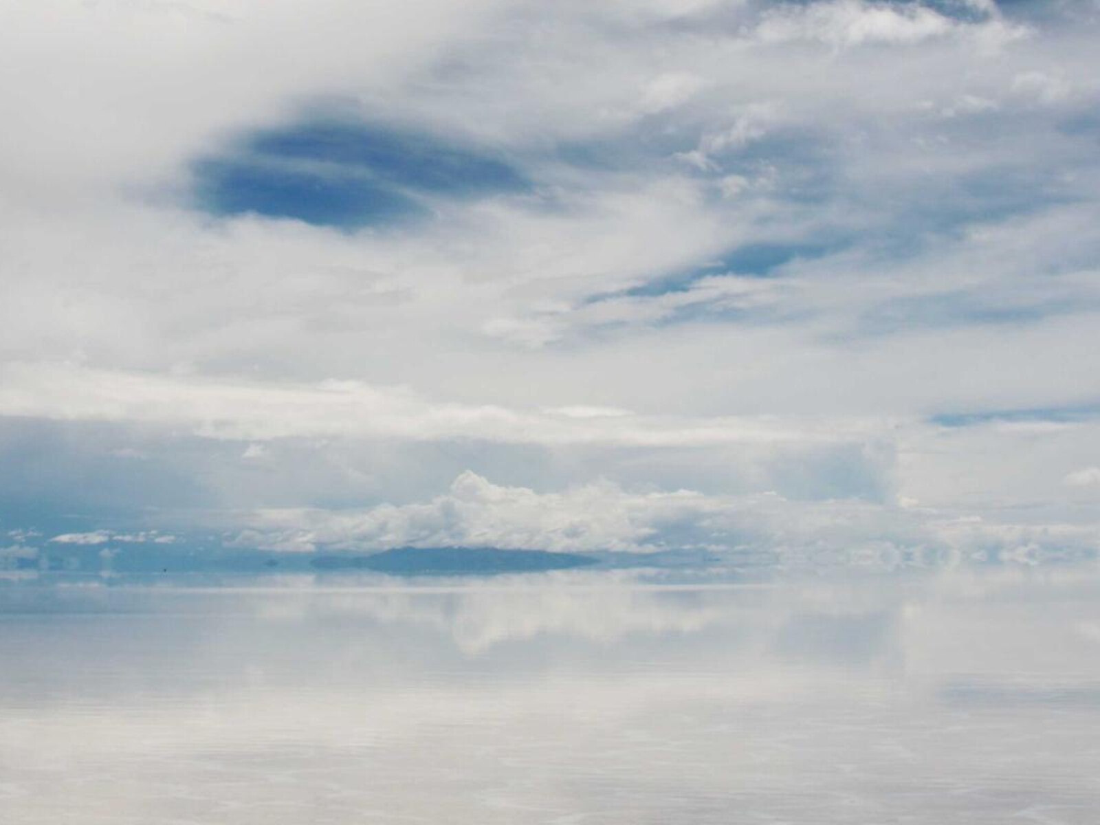 展示壁のある住居 image 5