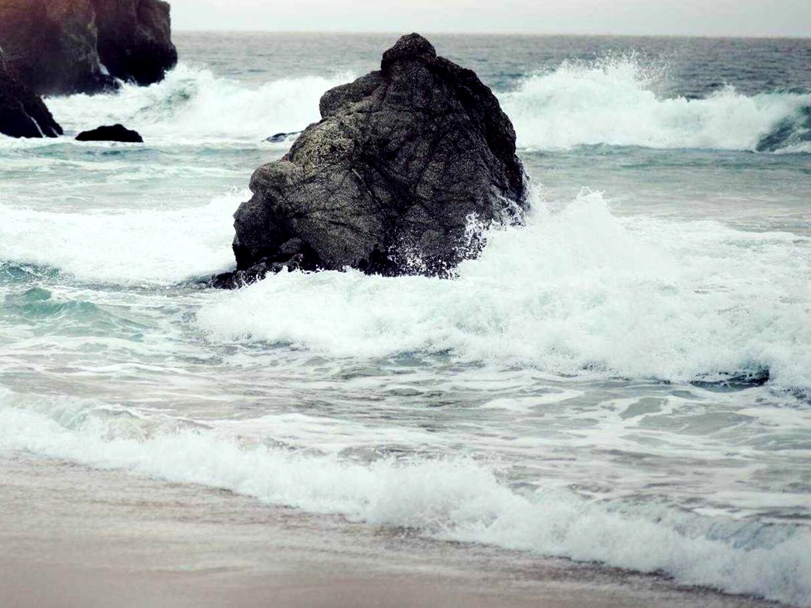 展示壁のある住居 image 6