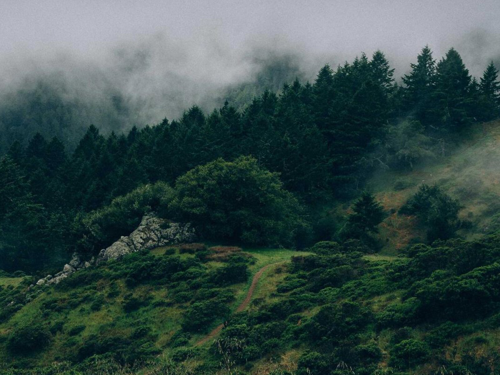 斜面地の診療所増築 image 4