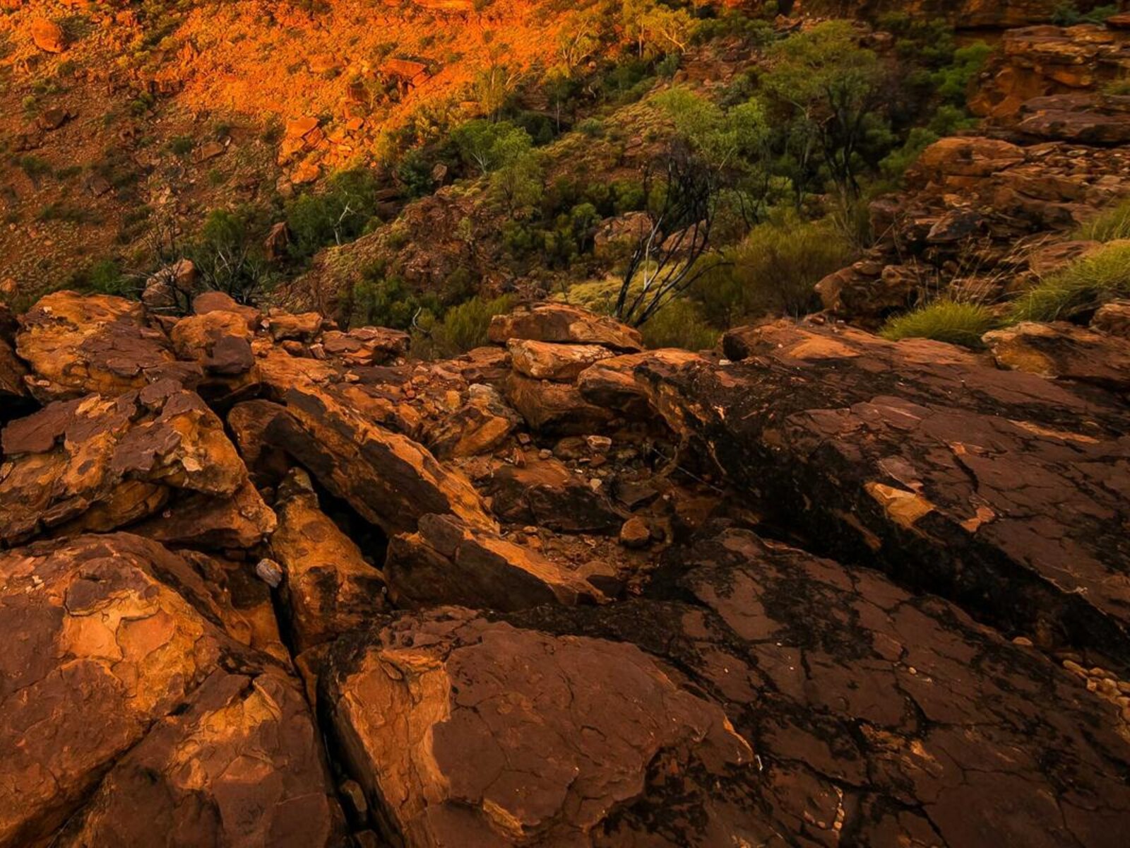 斜面地の診療所増築 image 5