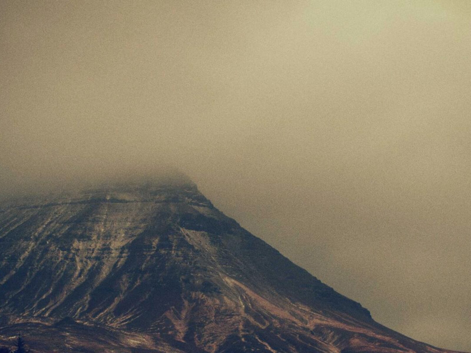 木場の保育室増築 image 3