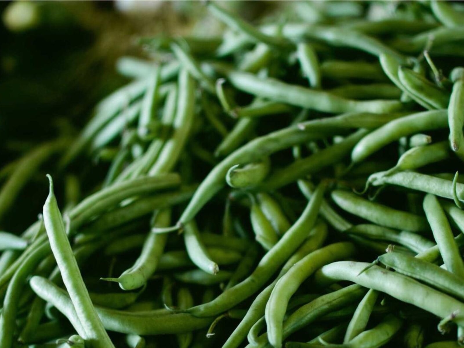 路地町家の設計室改修 image 3