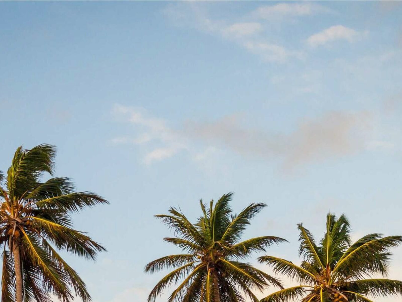 工場跡のアトリエ住居 image 3