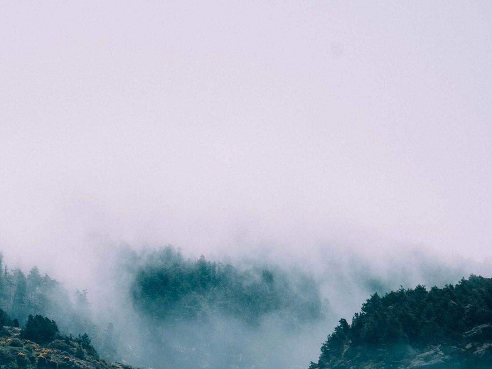 工場跡のアトリエ住居 image 4