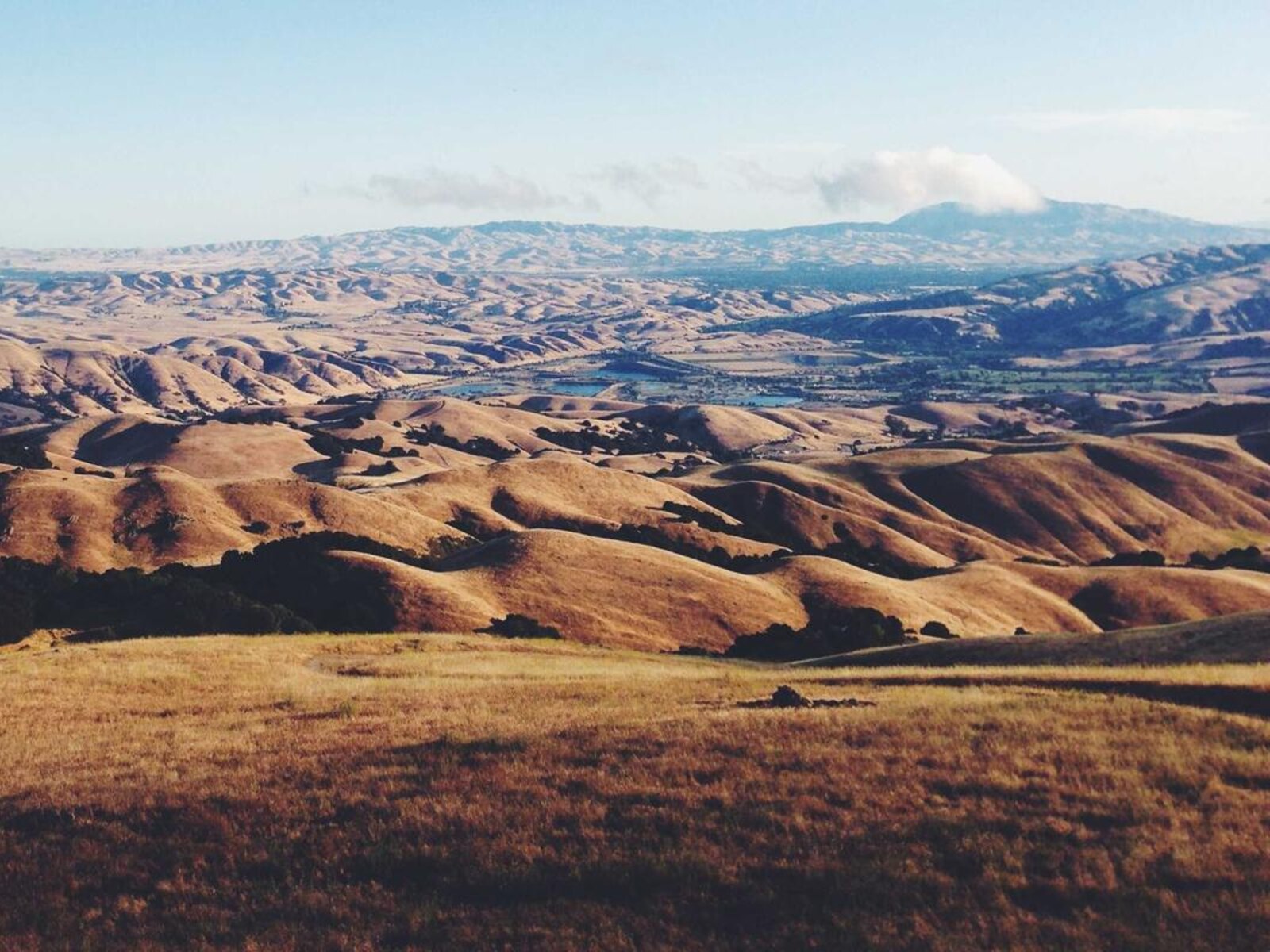 工場跡のアトリエ住居 image 5