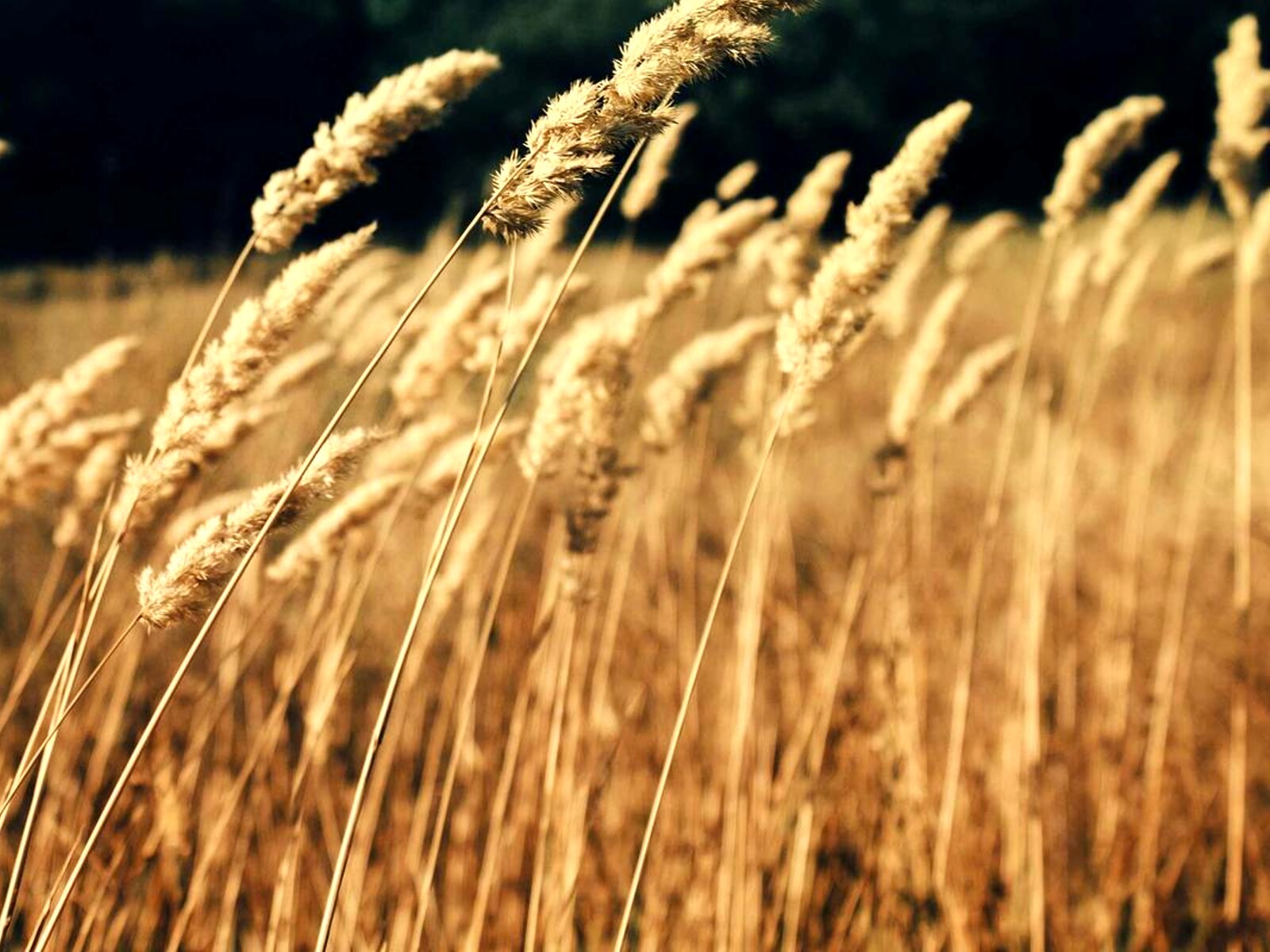 工場跡のアトリエ住居 image 6