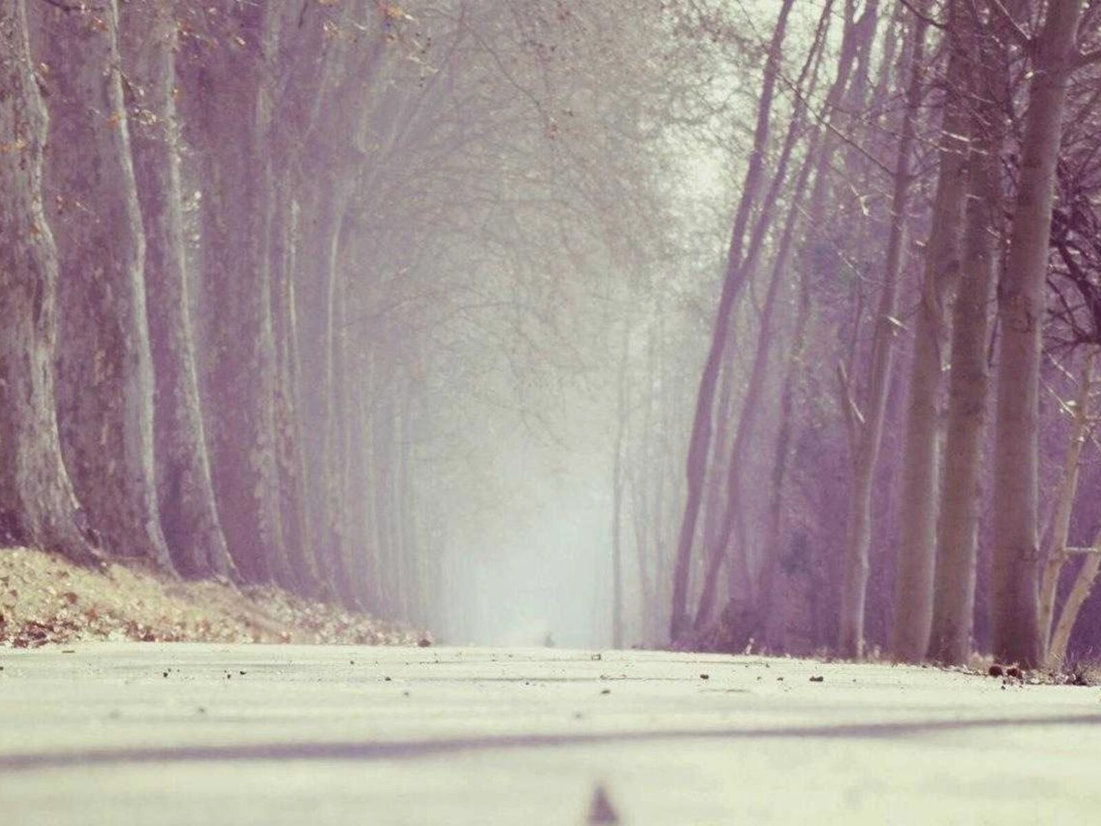 川辺の地域交流ホール image 3