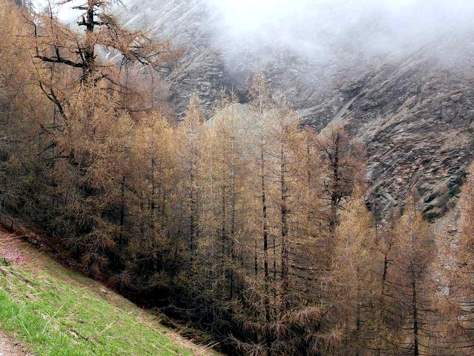 川辺の地域交流ホール image 6