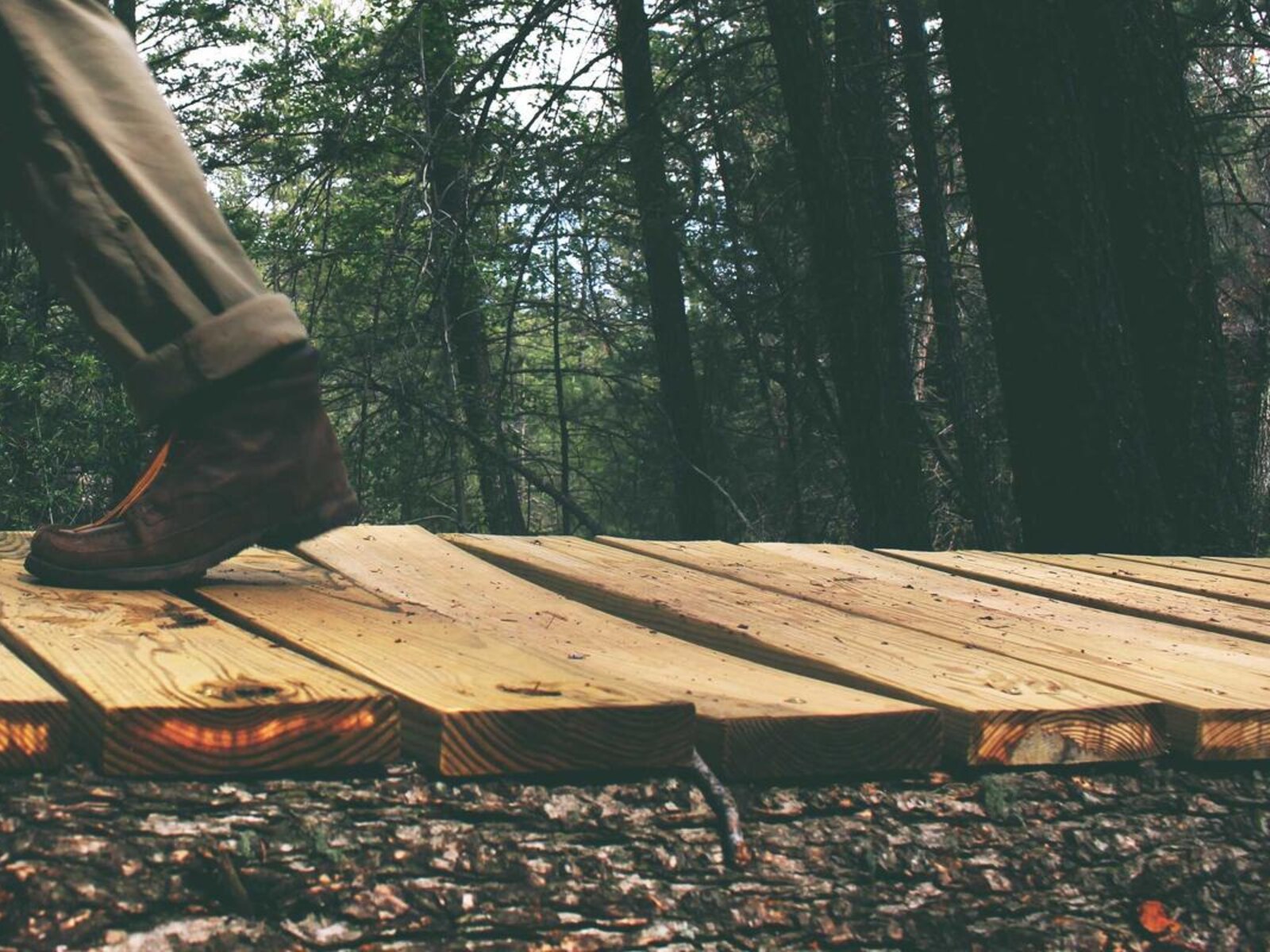 世田谷の連棟住宅改修 image 5