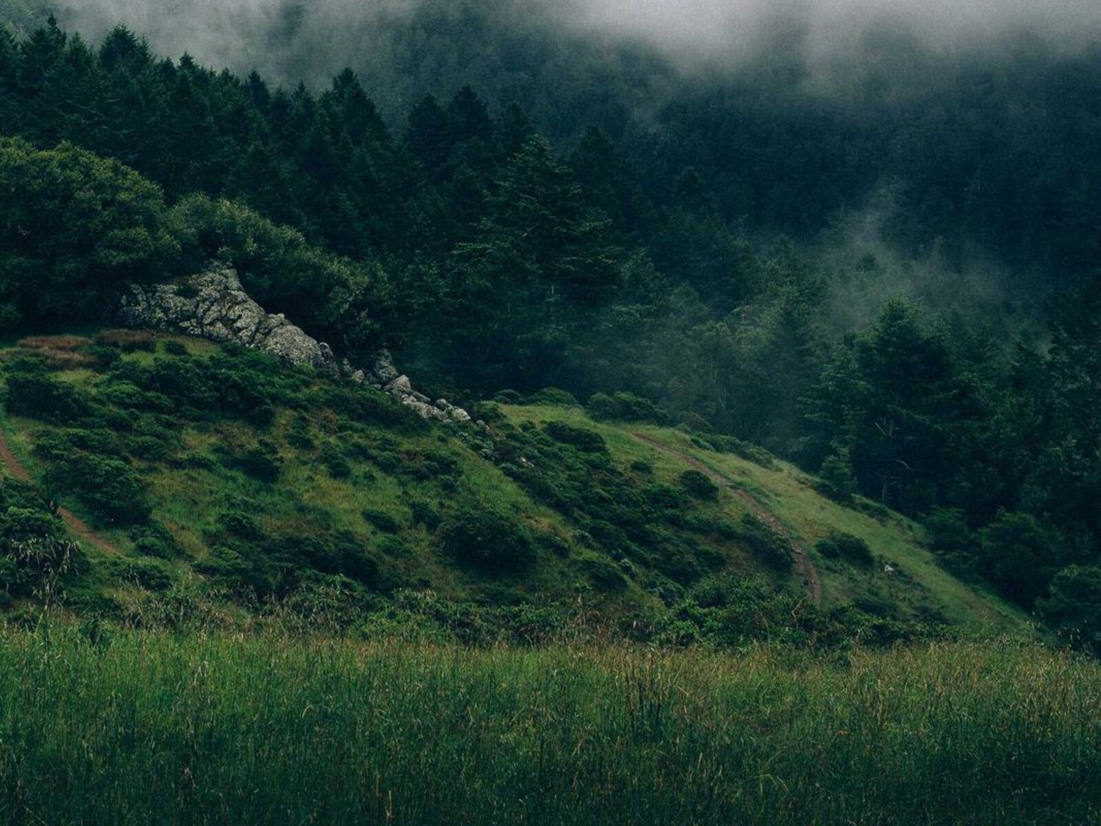 まちなかの木架構学習室 image 5